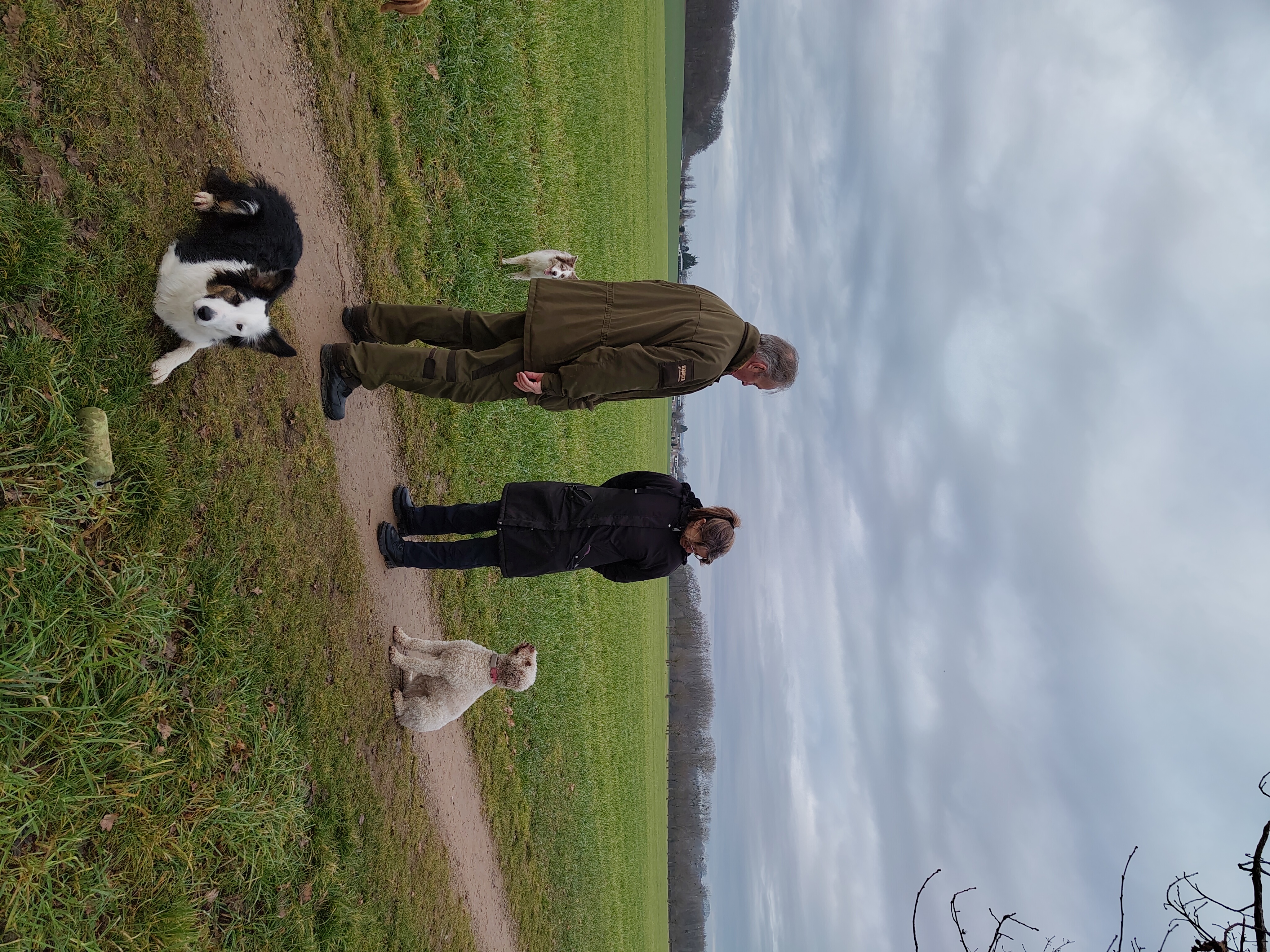 Mens en hond in natuurlijke samenwerking