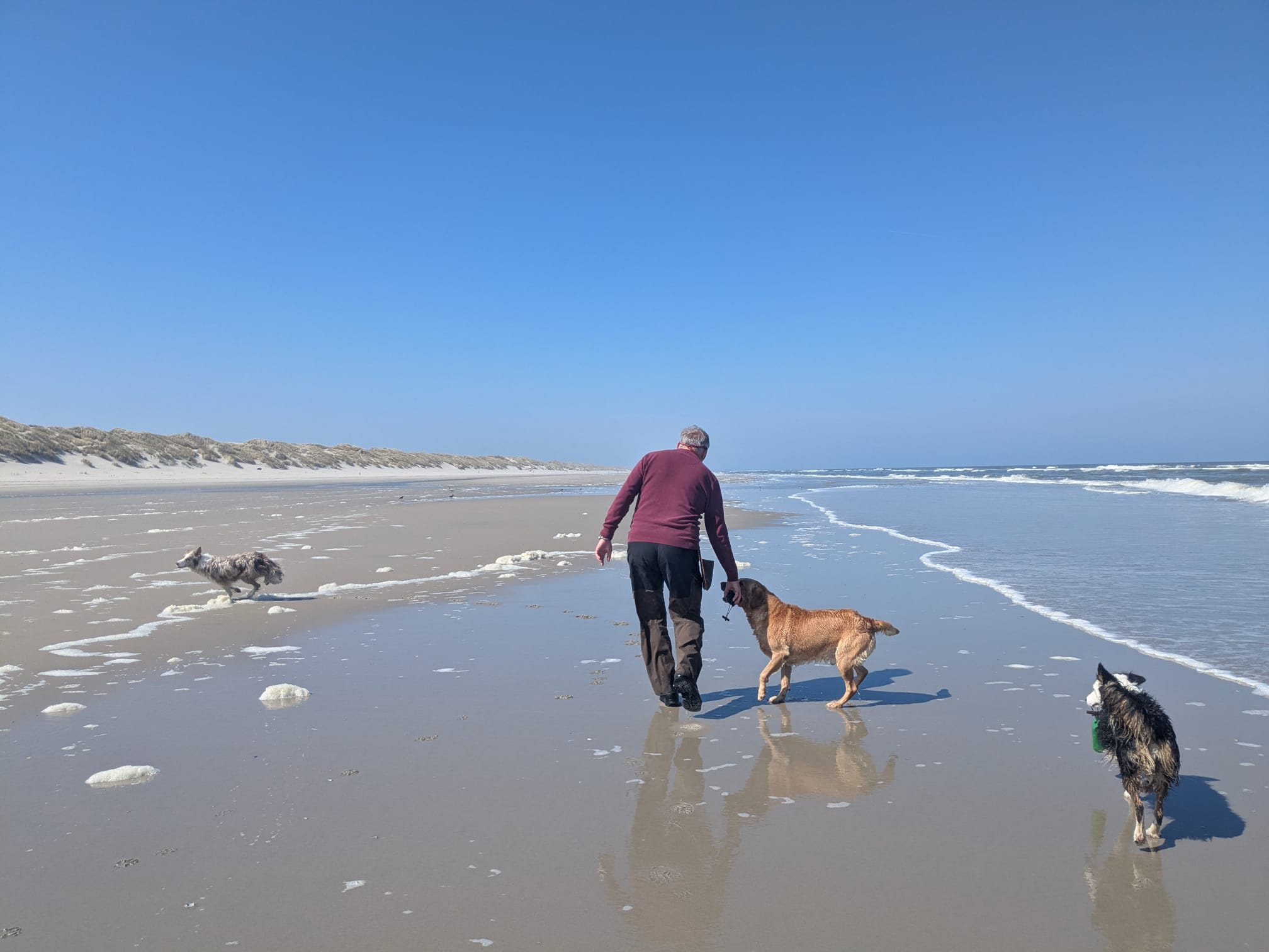 Klaas Wijnberg met honden