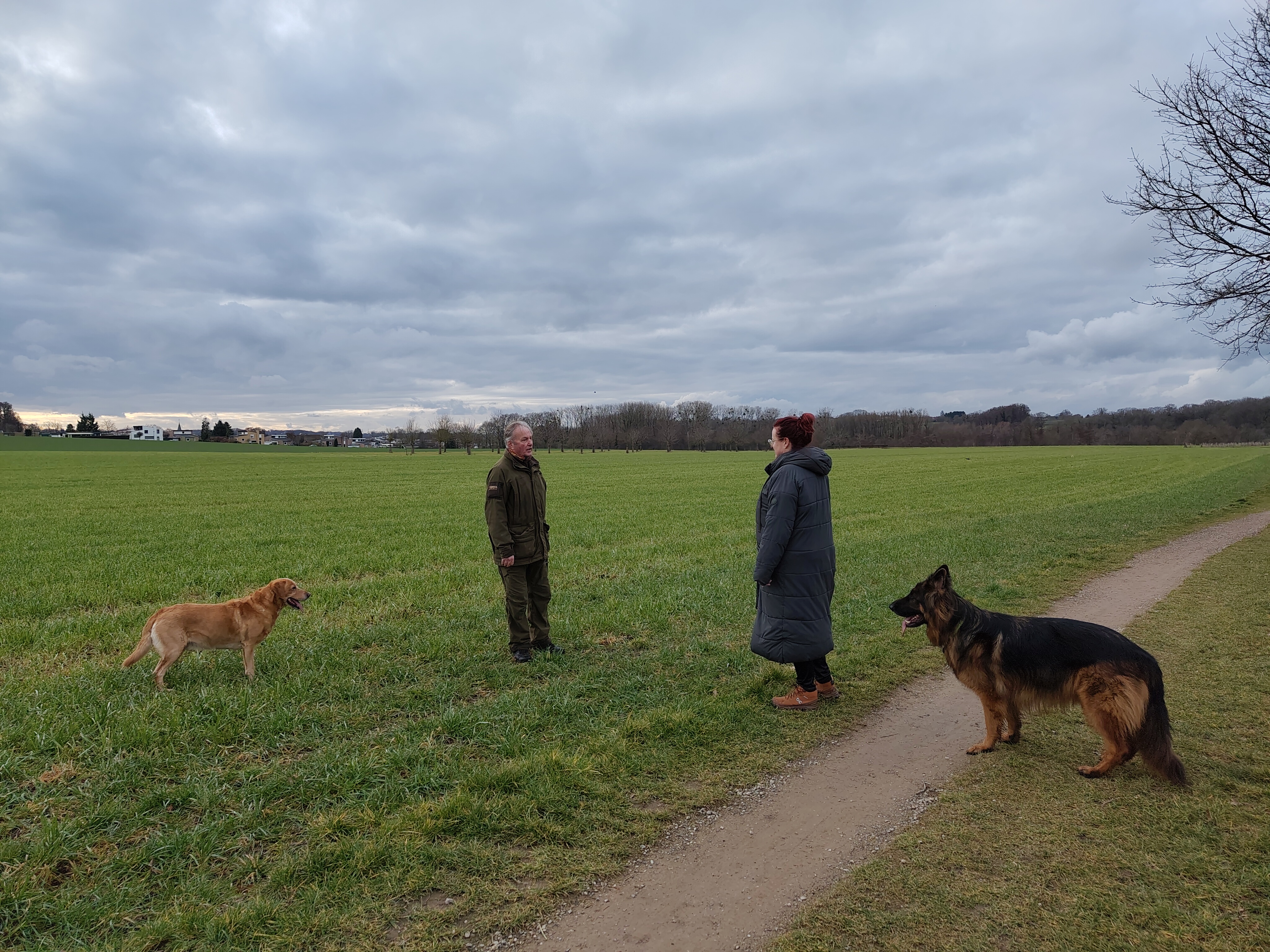 Workshop Aan de slag met gedragsproblemen